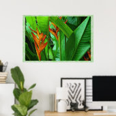 Tropische vogels 36 x 24 Poster (Thuiskantoor)