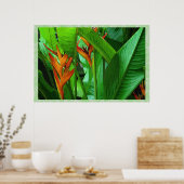 Tropische vogels 36 x 24 Poster (Keuken)