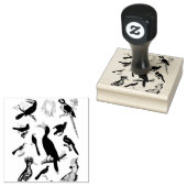 Tropische vogels gemengd scrapbooking rubber rubberstempel (Gestempeld)