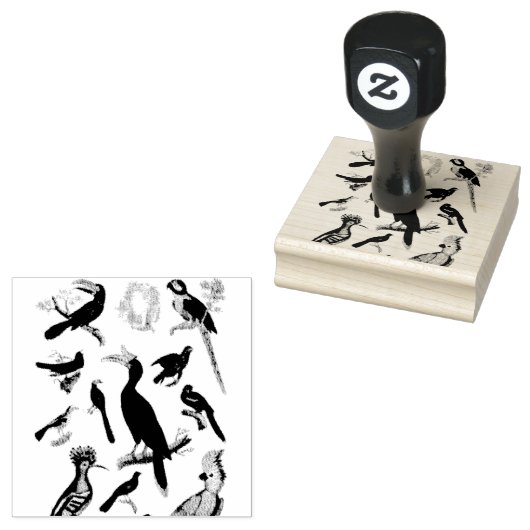 Tropische vogels gemengd scrapbooking rubber rubberstempel (Gestempeld)