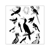 Tropische vogels gemengd scrapbooking rubber rubberstempel (Afrduk)