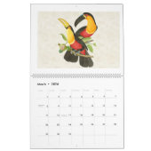  Tropische Vogels Illustraties 2026 Kalender (Mar 2026)