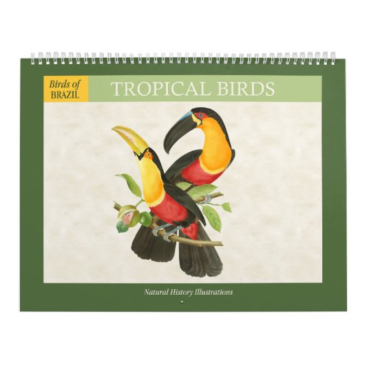  Tropische Vogels Illustraties 2026 Kalender (Hoes)