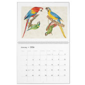  Tropische Vogels Illustraties 2026 Kalender (Jan 2026)