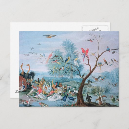 Tropische vogels in een landschap briefkaart (Voorkant / Achterkant)