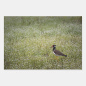 Tropische Vogels Inpakpapier Vel (Voorkant 2)
