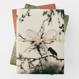 Tropische Vogels Inpakpapier Vel