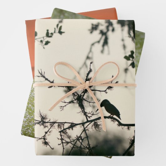Tropische Vogels Inpakpapier Vel (In situ)