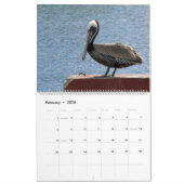 Tropische vogels kalender (Feb 2026)
