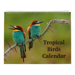 Tropische vogels kalender