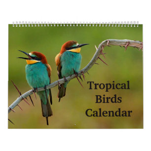 Tropische vogels kalender