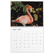 Tropische vogels kalender (Mar 2027)