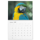 Tropische vogels kalender (Jan 2027)