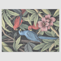 Tropische Vogels Krachtige Illustratie