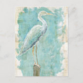 Tropische vogels | Nog steeds grot Briefkaart (Voorkant)