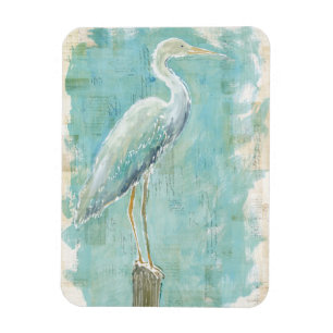 Tropische vogels   Nog steeds grot Magneet