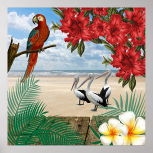 Tropische vogels op het strand poster