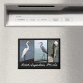 Tropische vogels St. Augustine, Florida Magneet (Insitu (Vaatwasser))