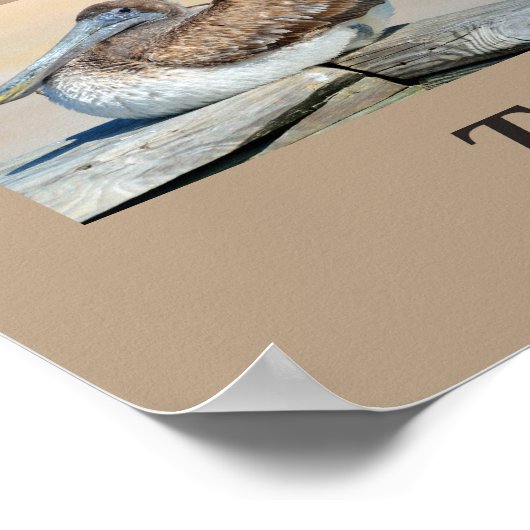 Tropische vogels uit Florida Poster (Hoek)