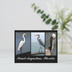Tropische vogels Vakantie Briefkaart