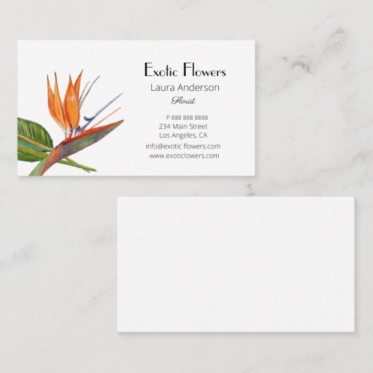 Tropische vogels van de paradijsvogel voor de wate visitekaartje (Voorkant / Achterkant)