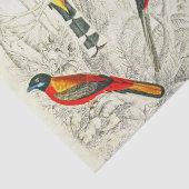 tropische vogels van het paradijs ontkoppelen tissuepapier (Detail)