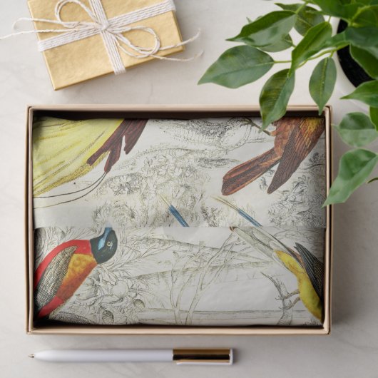 tropische vogels van het paradijs ontkoppelen tissuepapier (Geschenk)