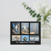 Tropische vogels van St. Augustine, Florida Briefkaart (Staand voorkant)