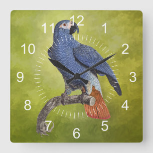 Tropische vogelstand  papegaaien Illustratie Vierkante Klok