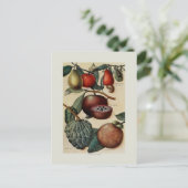 Tropische vruchten briefkaart (Staand voorkant)