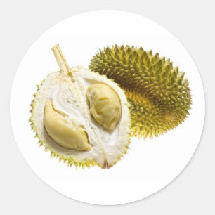 Tropische vruchten - Durian Ronde Sticker