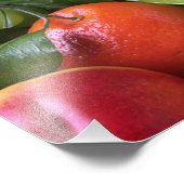 Tropische vruchten foto afdruk (Hoek)