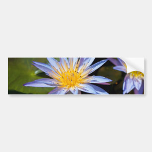 Tropische Waterlelie Bloem Botanisch Ontwerp Bumpersticker