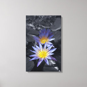Tropische Waterlelie Bloem Botanisch Ontwerp Canvas Afdruk