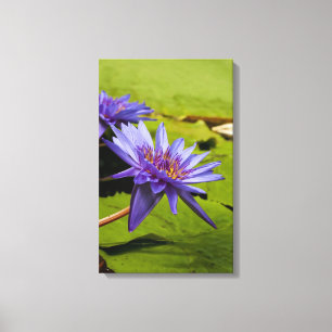 Tropische Waterlelie Bloem Botanisch Ontwerp Canvas Afdruk