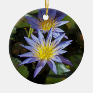 Tropische Waterlelie Bloem Botanisch Ontwerp Keramisch Ornament