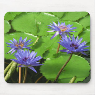 Tropische Waterlelie Bloem Botanisch Ontwerp Muismat