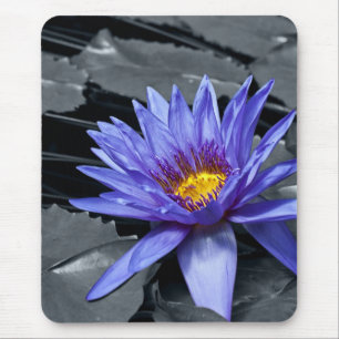 Tropische Waterlelie Bloem Botanisch Ontwerp Muismat