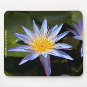 Tropische Waterlelie Bloem Botanisch Ontwerp Muismat