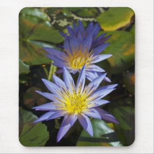 Tropische Waterlelie Bloem Botanisch Ontwerp Muismat