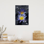 Tropische Waterlelie Bloem Botanisch Ontwerp Poster (Keuken)