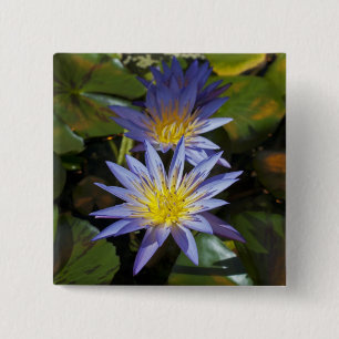 Tropische Waterlelie Bloem Botanisch Ontwerp Vierkante Button 5,1 Cm