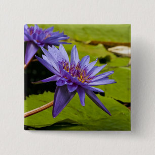 Tropische Waterlelie Bloem Botanisch Ontwerp Vierkante Button 5,1 Cm