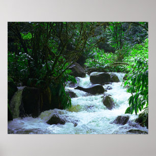 Tropische waterval poster