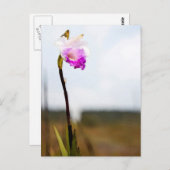 Tropische Wilde Orchid Print Hawaii Briefkaart (Voorkant / Achterkant)