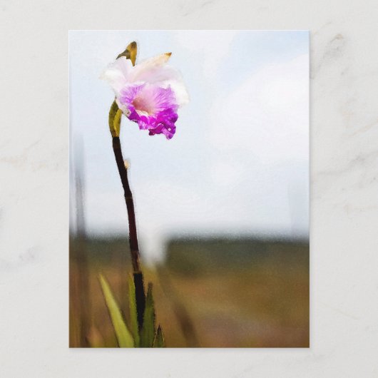 Tropische Wilde Orchid Print Hawaii Briefkaart (Voorkant)