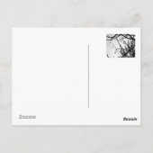 Tropische winter briefkaart (Achterkant)