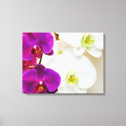 Tropische witte orchideeën Nummer drie Canvas Afdruk (Voorkant)