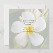 Tropische witte Plumeria - Nieuw begin - RSVP Kaart (Achterkant)