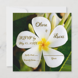 Tropische witte Plumeria - Nieuw begin - RSVP Kaart